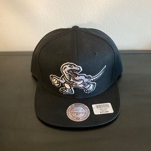 Toronto Raptors Hat
